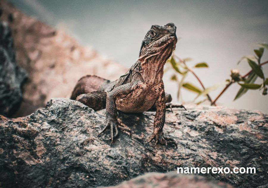 750+ Funny Lizard Names That Are Too Hilarious to Ignore (2026)